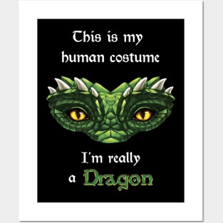 I'm really a Dragon Posters and Art